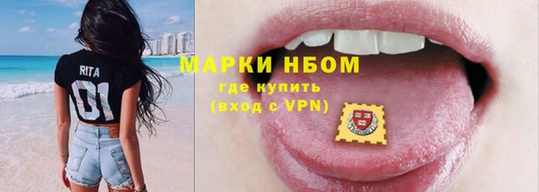 индика Бронницы