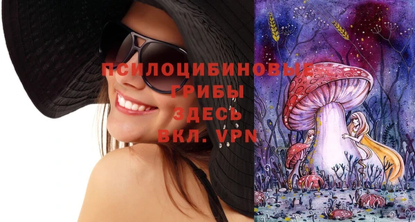 МДМА Няндома