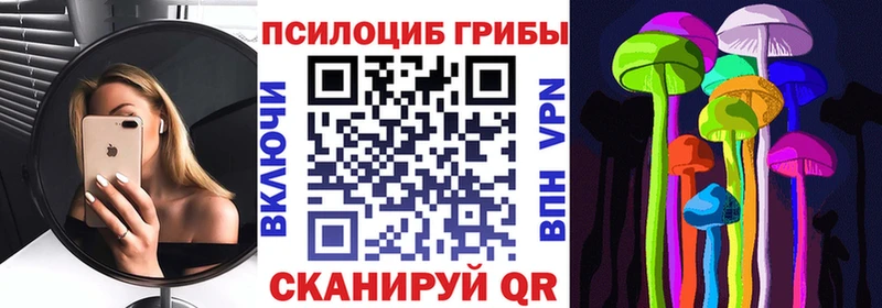 Псилоцибиновые грибы прущие грибы  купить закладку  Заинск 