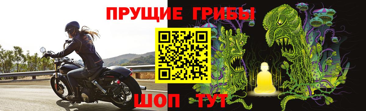 Галлюциногенные грибы Cubensis  Заинск 