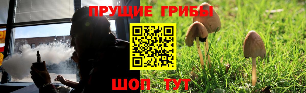 Псилоцибиновые грибы Psilocybe  Псилоцибиновые грибы Cubensis  Вход с VPN  Заинск 